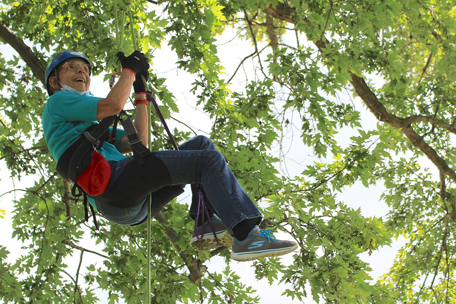 Recreational-Tree-Climbing