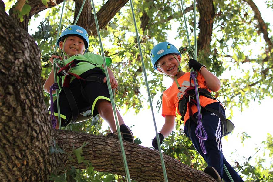 Recreational Tree Climbing with Treetop Explorer