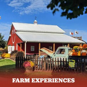 farm-experiences